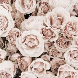 Meet your Posher, Samuel